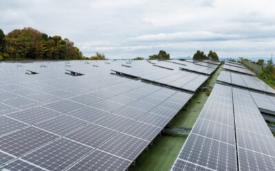 How Ground Protection Solutions Help With Developing Solar Farms in Ireland